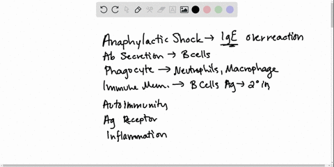 match-the-immunity-concepts-a-neutrophil-b-effector-b-cell-c-general-defense-d-immune-response-again