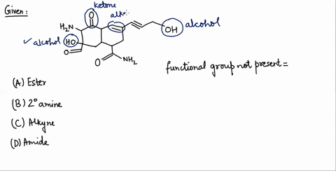 which-functional-group-is-not-present-in-the-above-compound-a-ester-b-2circ-amine-c-alkyne-d-amide