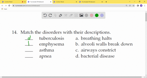 match-the-disorders-with-their-descriptions-________-tuberculosis-________-emphysema-________-asthma