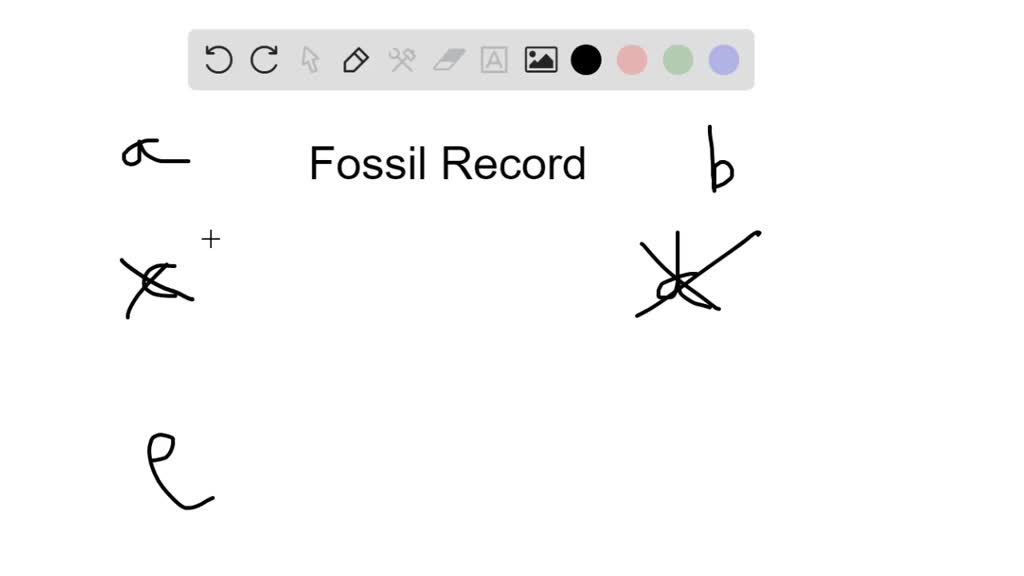 solved-the-fossil-record-a-provides-direct-and-indirect-evidence