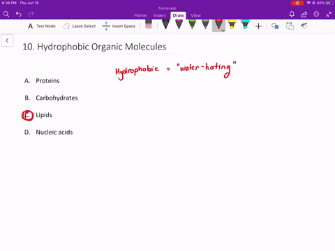 which-of-the-following-are-hydrophobic-organic-molecules-a-proteins-b-carbohydrates-c-lipids-d-nucle