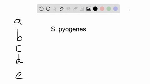 which-of-these-statements-about-streptococcus-pyogenes-is-false-a-it-is-a-gram-positive-coccus-occur