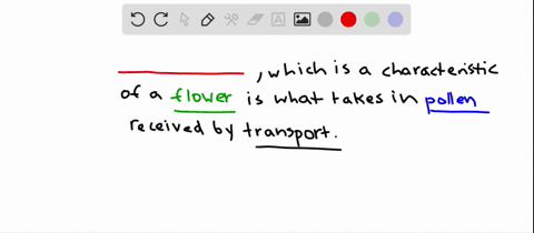 which-part-of-a-flower-receives-pollen-transported-by-the-wind-or-a-pollinating-animal-a-perianth-c-