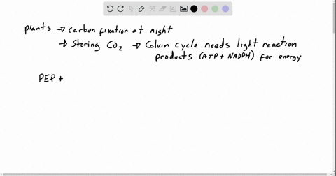 plants-commonly-found-in-hot-and-dry-environments-that-carry-out-carbon-fixation-at-night-are-a-oak-