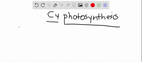 in-c_4-photosynthesis-a-3-mathrmpg-is-the-first-product-of-mathrmco_2-fixation-b-rubisco-catalyzes-2