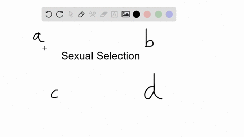 sexual-selection-such-as-competition-between-males-for-access-to-fertile-females-frequently-influenc