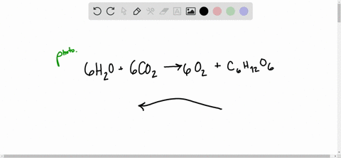 what-is-the-difference-in-the-overall-chemical-equations-for-photosynthesis-and-for-respiration-3