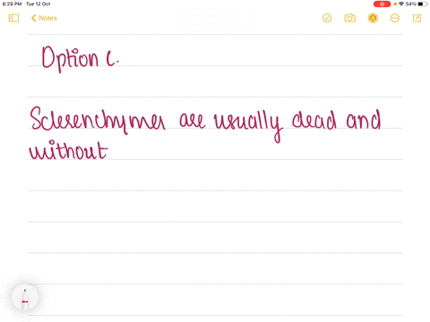 which-tissue-is-usually-dead-and-without-protoplast-a-parenchyma-b-collenchyma-c-sclerenchyma-d-all-