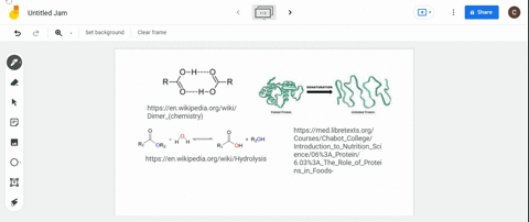 write-a-one-or-two-sentence-definition-in-your-own-words-for-each-term-dimer-quad-hydrolysis-denatur