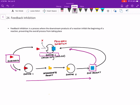 explain-in-your-own-words-how-enzyme-feedback-inhibition-benefits-a-cell