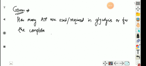 how-many-atp-are-usedrequired-in-glycolysis-or-for-the-complete-phosphorylation-of-a-glucose-molecul