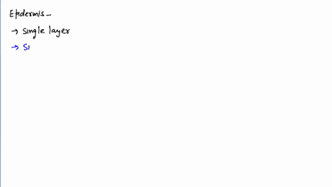 select-mathrmt-mathrmf-truefalse-a-epidermis-is-usually-single-layered-b-epidermal-cells-are-parench