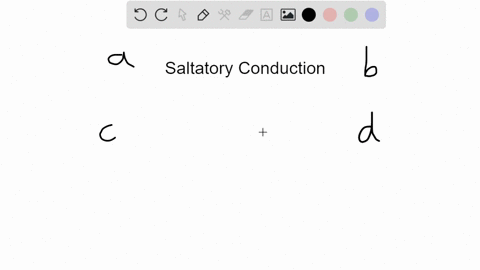 which-of-the-following-statements-best-describes-saltatory-conduction-a-it-inhibits-direct-neurotr-3