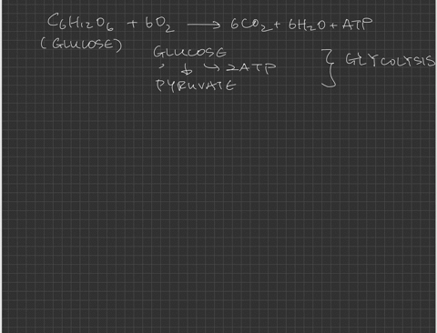 which-of-the-following-processes-is-are-required-for-the-complete-oxidation-of-glucose-a-the-krebs-c
