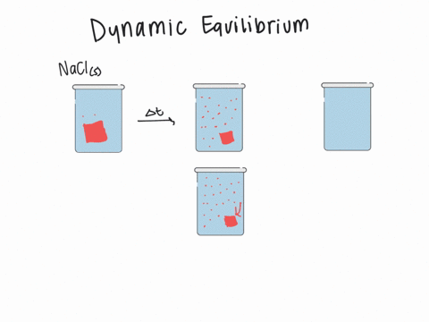 explain-dynamic-equilibrium-with-respect-to-solution-formation-what-is-a-saturated-solution-an-uns-3