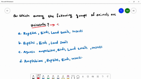 which-of-the-following-groups-of-animals-are-uricotelic-a-reptiles-birds-land-snails-insects-b-repti