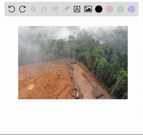 which-is-not-an-example-of-habitat-destruction-a-deforestation-b-agriculture-c-urbanization-d-draini