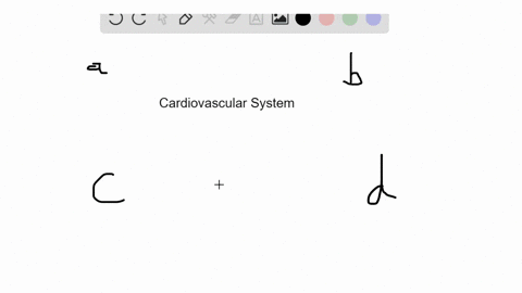 which-body-system-assists-the-cardiovascular-system-by-removing-excess-interstitial-fluid-from-aroun