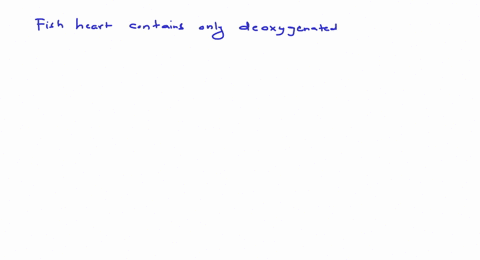 consider-the-following-four-statements-i-w-trdete-the-correct-option-i-fish-heart-contains-only-oxyg