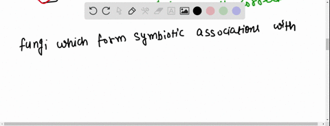 fungi-which-form-symbiotic-associations-with-plants-are-_________-a-rhizobium-b-mycorrhiza-c-azospir