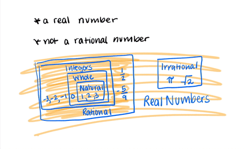 a positive rational number but not an integer