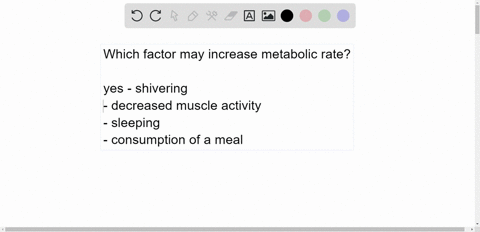 which-factor-may-increase-metabolic-rate-a-shivering-b-decreased-muscle-activity-c-sleeping-d-consum