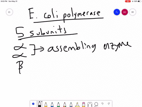 Solved:which Event Contradicts The Central Dogma Of Molecular Biology? A.  Poly-A Polymerase Enzymes Process Mrna In The Nucleus. B. Endonuclease  Enzymes Splice Out And Repair Damaged Dna. C. Scientists Use Reverse  Transcriptase Solved:which Event Contradicts The Central Dogma Of Molecular Biology? A.  Poly-A Polymerase Enzymes Process Mrna In The Nucleus. B. Endonuclease  Enzymes Splice Out And Repair Damaged Dna. C. Scientists Use Reverse  Transcriptase