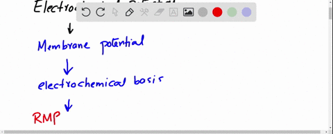 a-calculate-the-chemical-potential-difference-when-intracellular-leftmathrmnaright10-mathrmmm-and--2