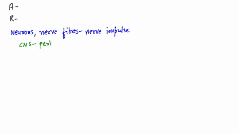 assertion-all-motor-neurons-are-efferent-neurons-reason-motor-neurons-conduct-nerve-impulses-from-th