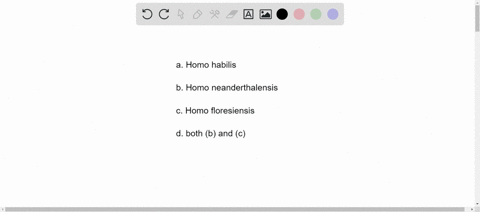which-of-the-following-have-coexisted-with-modern-homo-sapiens-a-homo-habilis-c-homo-floresiensis-b-