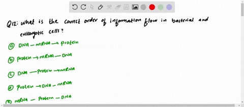 what-is-the-correct-order-of-information-flow-in-bacterial-and-eukaryotic-cells-a-dna-longrightarrow