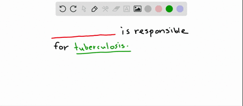 what-type-of-organism-causes-tuberculosis