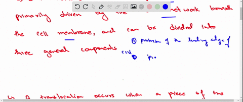 cell-motility-has-been-described-as-being-like-the-motion-of-tank-treads-at-the-leading-edge-actin-f