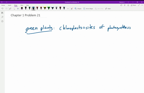 what-are-the-differences-between-the-photosynthetic-apparatus-of-green-plants-and-photosynthetic-bac