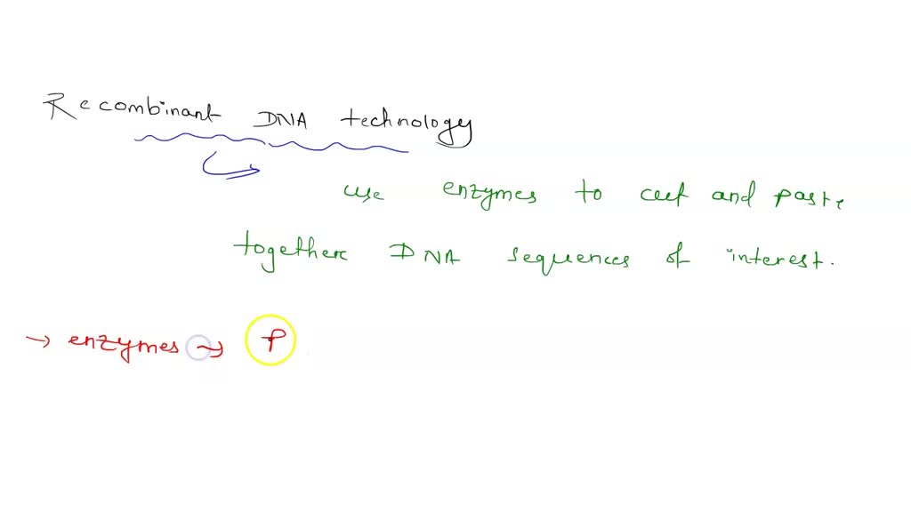 SOLVED:The recognition sites for the restriction endonucleases BglII ...