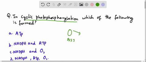 in-cyclic-photophosphorylation-which-one-of-the-following-is-formed-a-atp-b-nadp-and-atp-c-mathrmnad