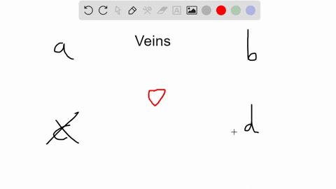 which-veins-carry-oxygenated-blood-a-superior-vena-cava-and-inferior-vena-cava-b-right-and-left-pulm