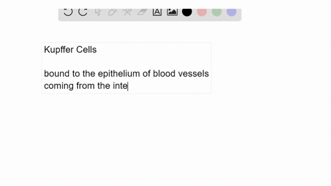 fill-in-the-blanks-kupffer-cells-residing-in-the-liver-are-a-type-of_____