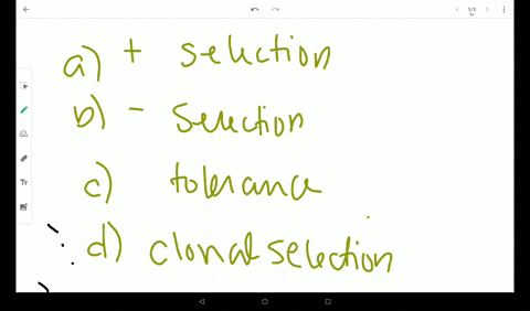 the-elimination-of-self-reactive-thymocytes-is-called-_______-a-positive-selection-b-negative-select