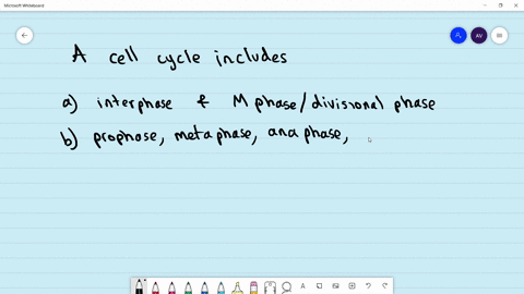 a-cell-cycle-indudes-a-interphase-and-m-phaseldivisional-phase-b-prophase-metaphase-anaphase-and-tel