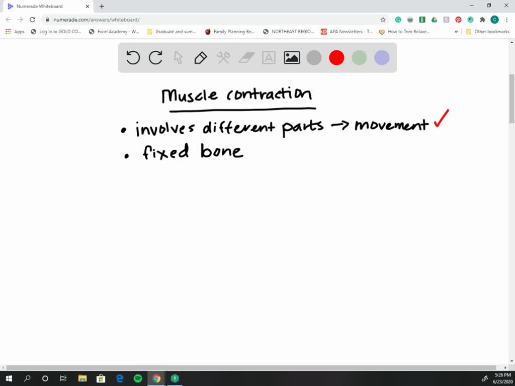 solved-joint-movements-occur-when-a-muscle-contracts-and-the-muscle