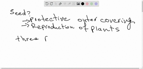 what-is-a-seed-why-is-the-sced-a-crucial-adaptation-to-terrestrial-life
