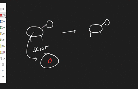 _______-is-an-example-of-reproductive-cloning-a-somatic-cell-nuclear-transfer-scnt-b-multiple-offs-2