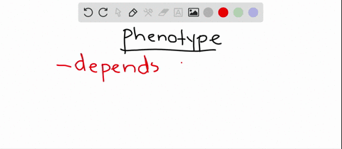 the-phenotype-of-an-individual-a-depends-at-least-in-part-on-the-genotype-b-is-either-homozygous-or-
