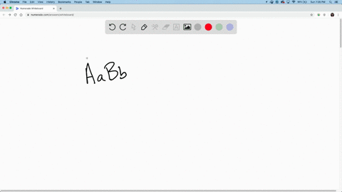 what-are-the-types-of-gametes-that-can-be-produced-by-an-individual-with-the-genotype-aabb-a-a-a-b-b