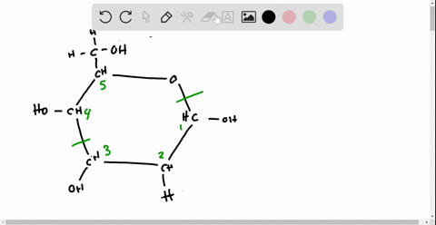 the-capture-of-radiant-energy-through-the-conversion-of-carbon-dioxide-and-water-into-carbohydrates