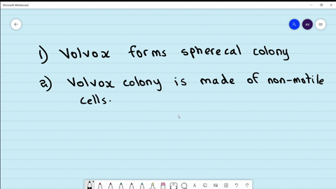 read-the-given-statements-and-select-the-correct-option-statement-1-volvox-forms-spherical-colony-st