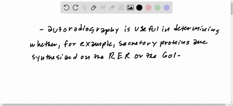 autoradiography-depends-on-particles-emitted-from-radioactive-atoms-striking-a-photographic-emulsion