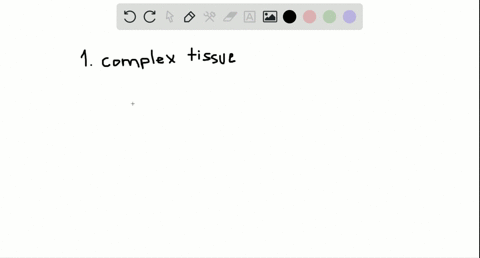 describe-and-give-examples-of-how-humans-display-all-of-the-features-common-to-the-animal-kingdom