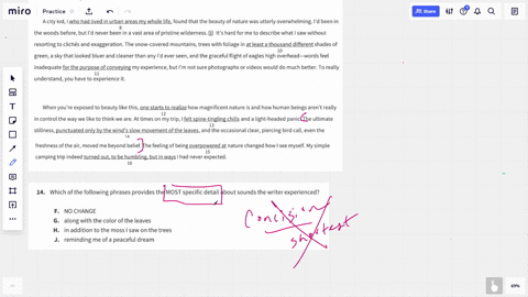 which-of-the-following-phrases-provides-the-most-specific-detail-about-sounds-the-writer-experien